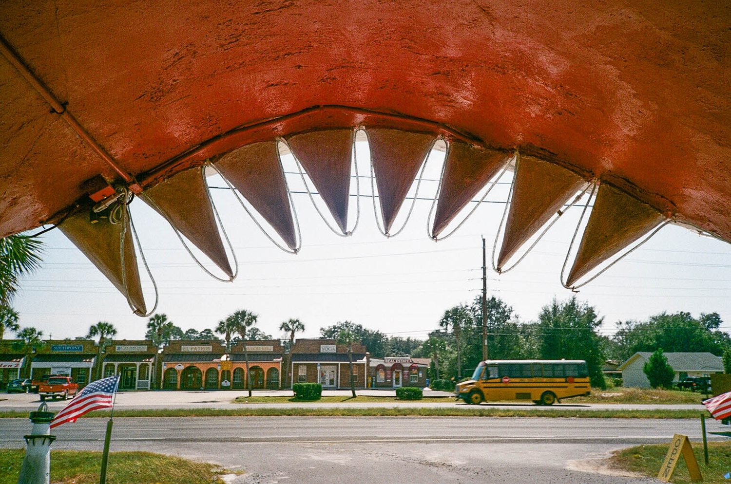 Souvenir City & Shark Museum, Navarre, Florida - Chomp